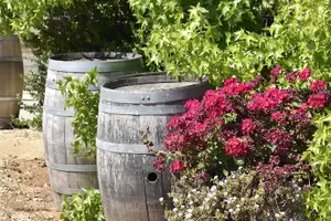 Tour image of Lodi wine tasting tours Customized private 1 to 14 passenger