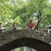 Image of Mountain Bike Tours
