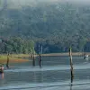 Image of On the Water