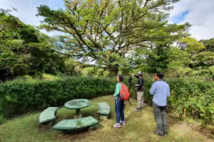 Tour image of Birdwatching Tour: unlock the wonder, whether beginner or advanced