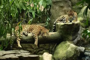 Image of Costa Rica