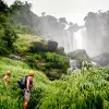 Image of Nature Walks