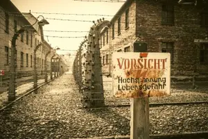 Tour image of 8-day tour around Poland by private car