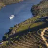Image of Brunch Cruises