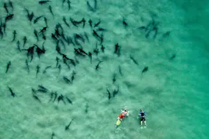 Tour image of All Day Snorkel Package with Wetsuit Rental