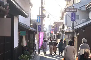 Tour image of Half-Day Private Guided Tour to Nara City