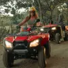 Image of Motor Sports