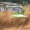 Image of Motor Sports