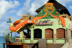 Tour image of Private Guided 2-Hour Tour in Montego Bay