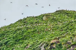 Image of Iceland