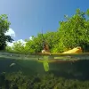 Image of On the Water