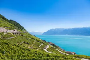 Tour image of Cheese, Choc, and Culture: Private Tour to Gruyères from Geneva