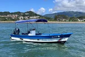 Tour image of Half Day inshore Fishing Trip