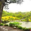 Image of Art Tours