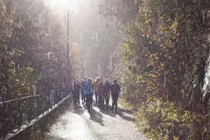 Tour image of Bergen Private Walking Tour with a Local