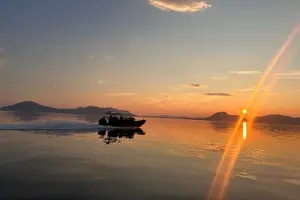 Tour image of Fjord and Sea Eagle Safari from Sortland