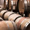 Image of Wine Tours