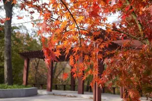 Tour image of Nanjing Private English Tour Guide Service