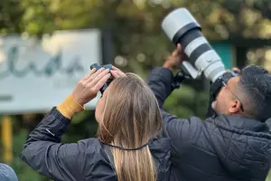 Tour image of Exclusive Cloud Forest Birding + FREE Binoculars + hummingbirds