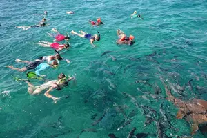 Tour image of Private Full Day Charter from San Pedro