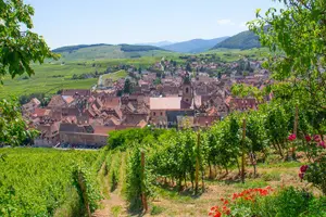 Tour image of Alsace Wine Route Wineries & Tasting Small Group Guided Tour from Strasbourg