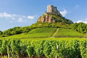 Tour image of Full Day Private Vintage Land Rover Tour of Beaujolais & Burgundy