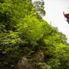 Image of Climbing