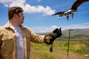Tour image of Experience Raptors and Falconry in Reno