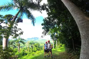 Tour image of Ziplining at the Rainforest in Puerto Rico
