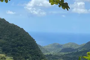Tour image of Half Day Grenada Seven Sisters, Grand Etang Nature Center Hiking Tour