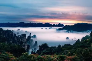Tour image of 1-Day Private Zhangjiajie Tour to Avatar Mountain & Glass Bridge