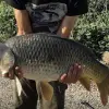 Image of Fishing Charters