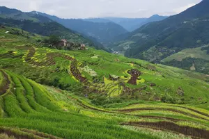 Tour image of From Guilin/Yangshuo: Longji Rice Terraces and Ethnic Minority Village Day Tour