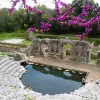 Image of Archaeology Tours