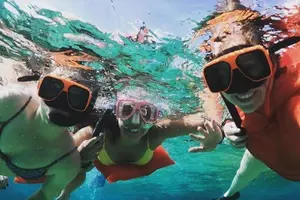 Tour image of Perfect Day Swimming Pigs, Turtles, Reef Snorkel & Lunch