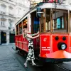 Image of Romantic Tours