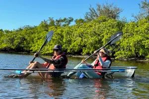Tour image of Clear Kayak Tour of Tarpon Springs | Manatee Season
