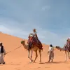 Image of Sandboarding