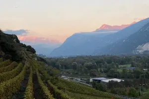 Tour image of Wine and Dine Vineyard Walk in Sion