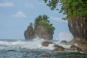 Tour image of Puerto Viejo's walking tour: Sloth spoting guaranteed