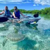 Image of Kayaking Tours