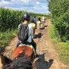 Image of Horseback Riding