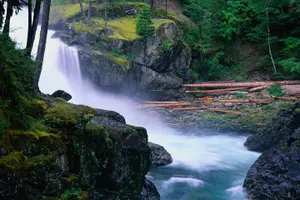 Tour image of Mt. Rainier Day Tour from Seattle