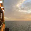 Image of Dinner Cruises