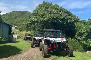 Tour image of Northern Sights - Buggy in the North