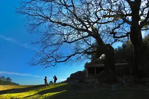 Tour image of Private Tour of the Natural Waterfalls and Lagoons of Gerês