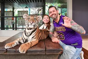 Tour image of Tiger Park Tickets: Non-Thai Residents