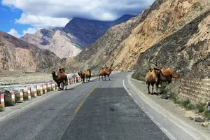 Tour image of Day Trip to Baisha Lake and Karakul Lake with Private Car
