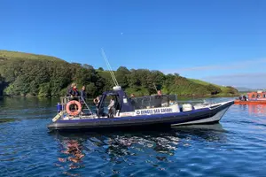 Tour image of Private family sea safari