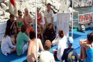 Tour image of Belek Scuba Diving Experience (2 Dives) With Lunch